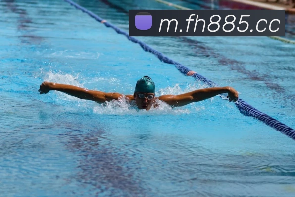 数据分析功能